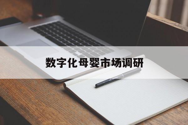 广安市数字化母婴市场调研(数字化母婴市场调研报告)